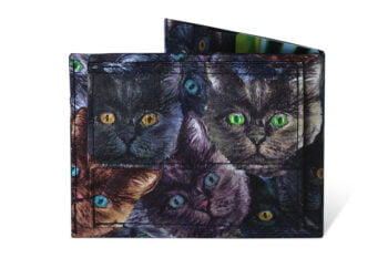 Spocket Classic Plus Cats XTR