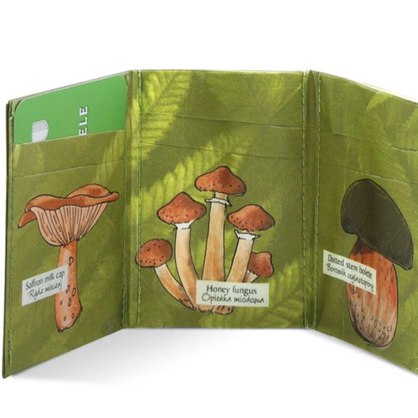 Spocket Mini Plus Mushrooms XTR