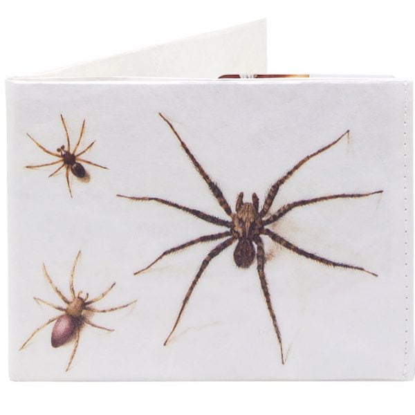 Spocket Classic Plus Spiders XTR