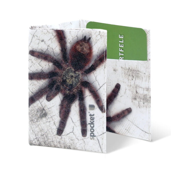 Spocket Mini Spider XTR