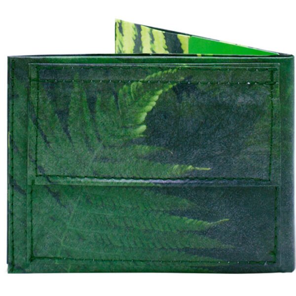 Spocket Classic Plus Fern