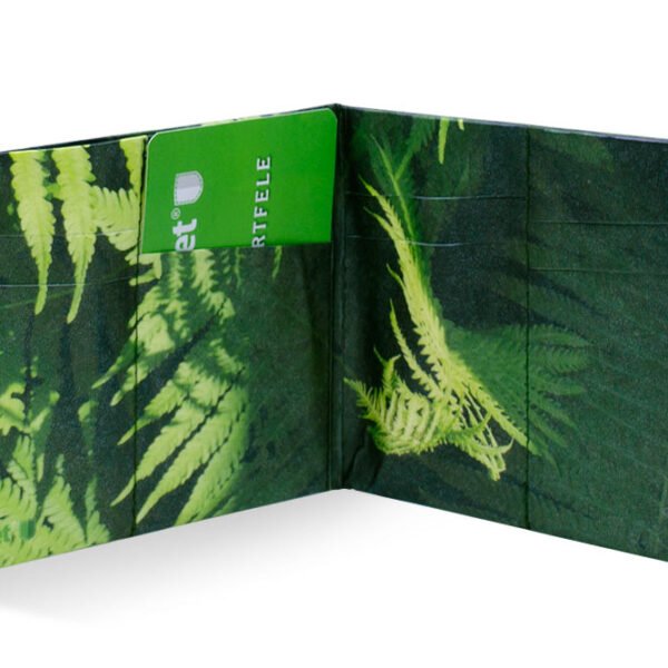 Spocket Classic Plus Fern