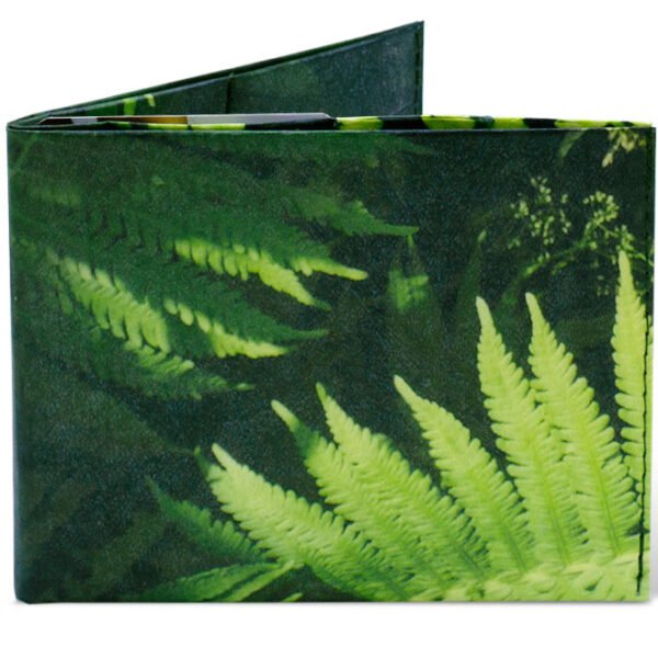 Spocket Classic Plus Fern